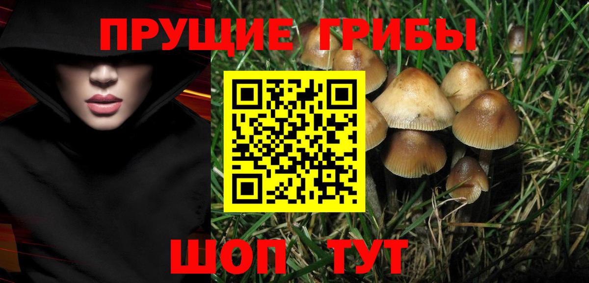 Нарткала  Галлюциногенные грибы мицелий  Вход с VPN  Галлюциногенные грибы прущие грибы 